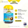 Nature's Way Kids Smart Probiotic Choc Balls - Hỗ trợ tăng cường sức khỏe tiêu hóa cho trẻ