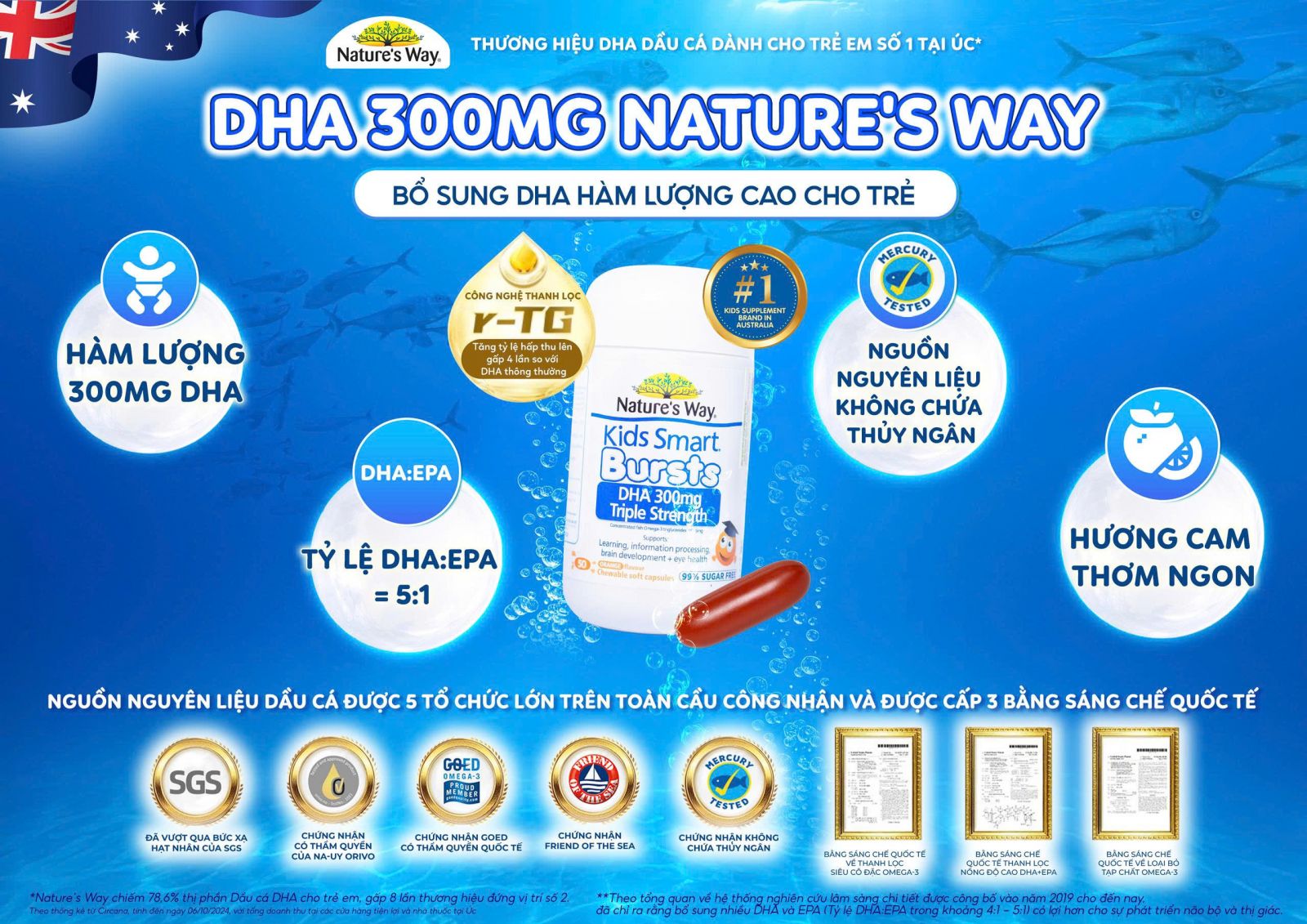 DHA 300mg - DHA Tú tài